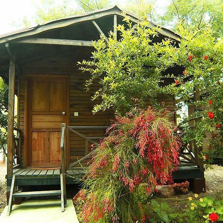 Merhaba Bungalow Hotel Beykonak Pokój zdjęcie